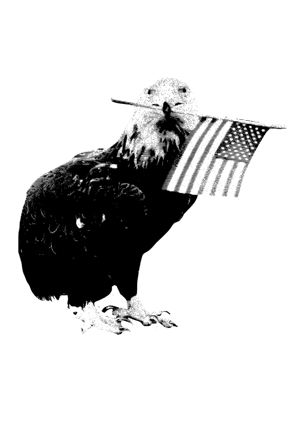 FlyonGround
